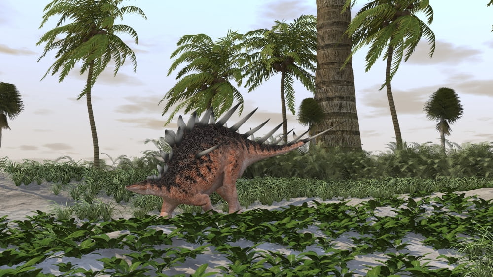 Kentrosaurus in a prehistoric landscape Canvas Art - Kostyantyn IvanyshenStocktrek Images (19 x 11)