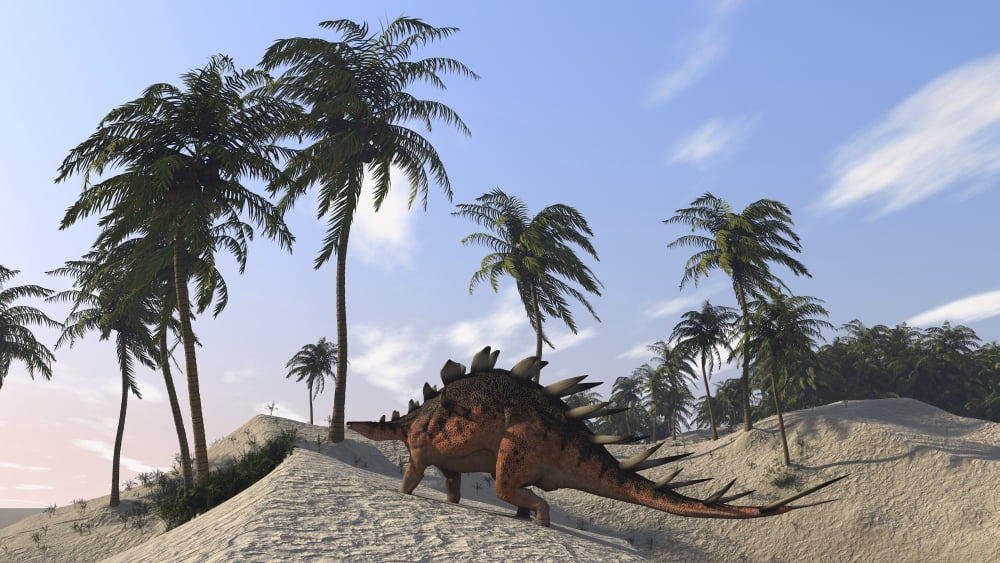 Kentrosaurus roaming a tropical setting Canvas Art - Kostyantyn IvanyshenStocktrek Images (19 x 11)