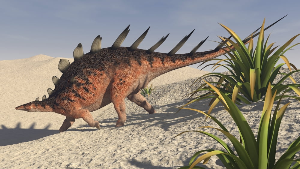 Kentrosaurus walking across a barren landscape Canvas Art - Kostyantyn IvanyshenStocktrek Images (19 x 11)