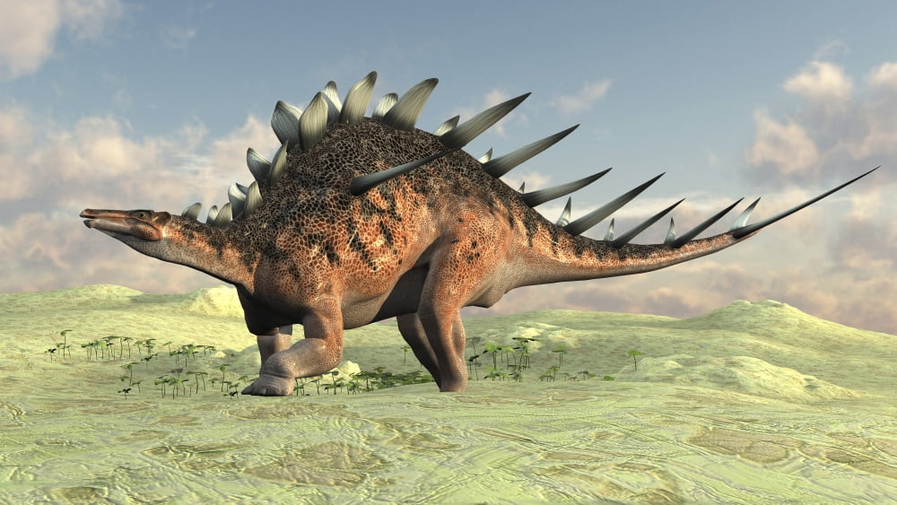 Kentrosaurus walking across a barren landscape Canvas Art - Kostyantyn IvanyshenStocktrek Images (19 x 11)