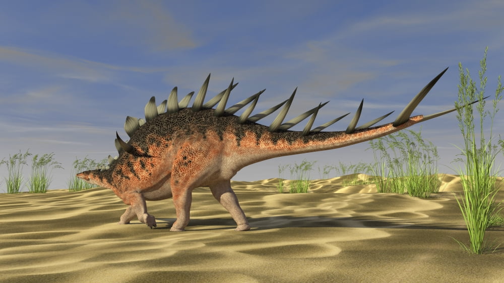Kentrosaurus walking across a barren landscape Canvas Art - Kostyantyn IvanyshenStocktrek Images (19 x 11)