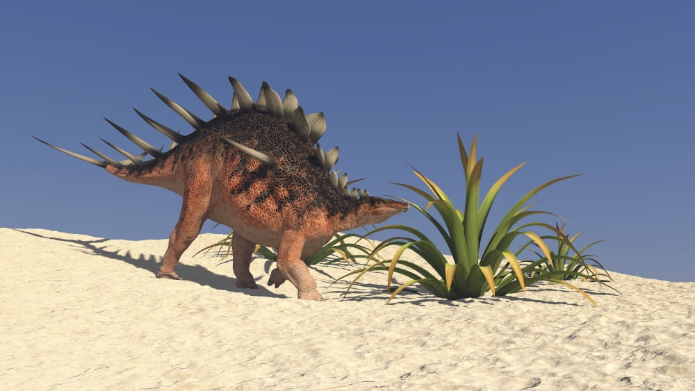 Kentrosaurus walking across a barren landscape Canvas Art - Kostyantyn IvanyshenStocktrek Images (19 x 11)