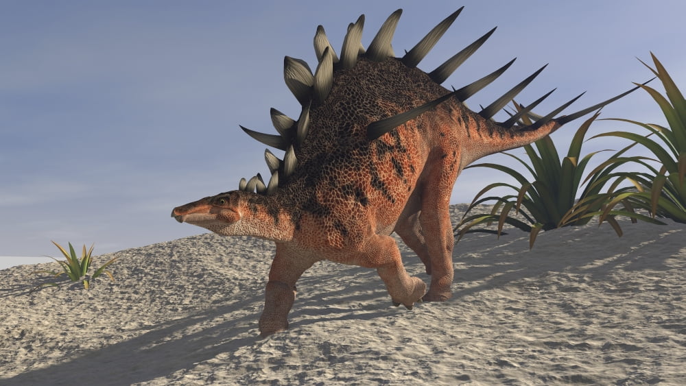 Kentrosaurus walking across a barren landscape Canvas Art - Kostyantyn IvanyshenStocktrek Images (19 x 11)