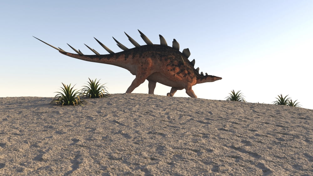 Kentrosaurus walking across a barren landscape Canvas Art - Kostyantyn IvanyshenStocktrek Images (19 x 11)