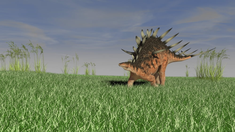 Kentrosaurus walking across a grassy field Canvas Art - Kostyantyn IvanyshenStocktrek Images (19 x 11)