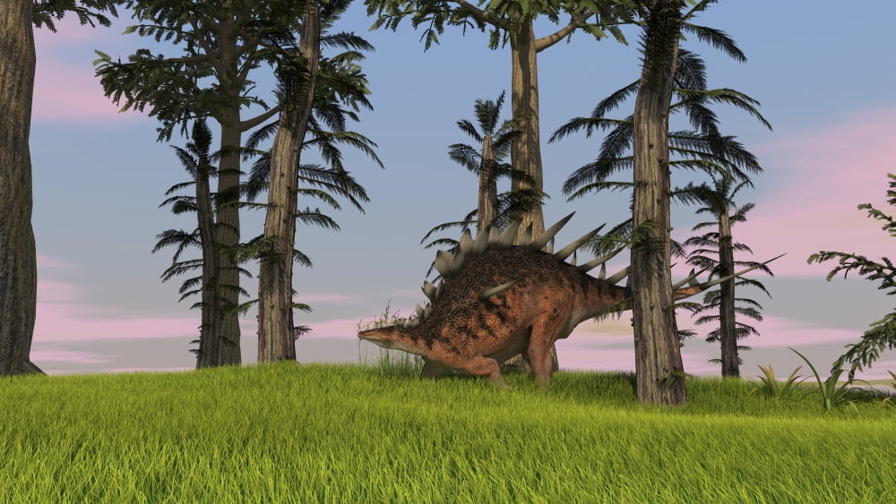 Kentrosaurus walking across a grassy field Canvas Art - Kostyantyn IvanyshenStocktrek Images (19 x 11)