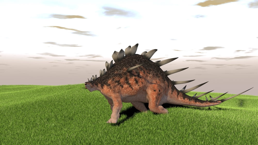 Kentrosaurus walking across a grassy field Canvas Art - Kostyantyn IvanyshenStocktrek Images (38 x 22)