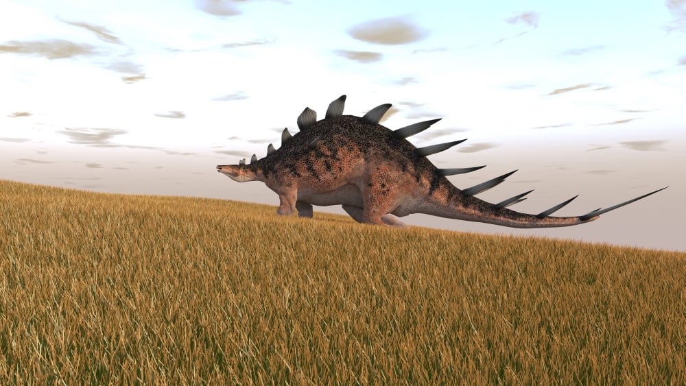 Kentrosaurus walking across a grassy field Canvas Art - Kostyantyn IvanyshenStocktrek Images (38 x 22)