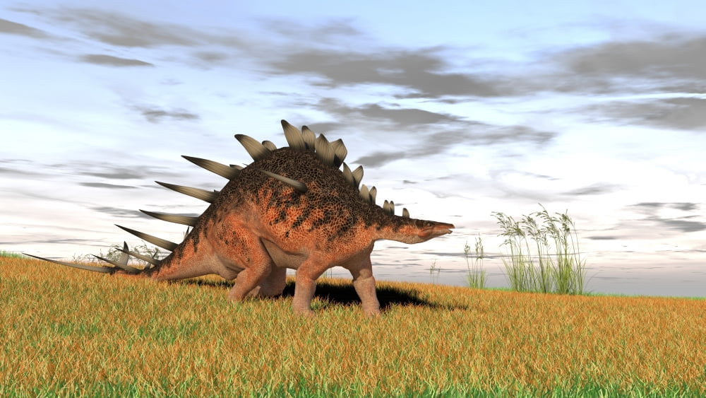 Kentrosaurus walking across a grassy field Canvas Art - Kostyantyn IvanyshenStocktrek Images (38 x 22)