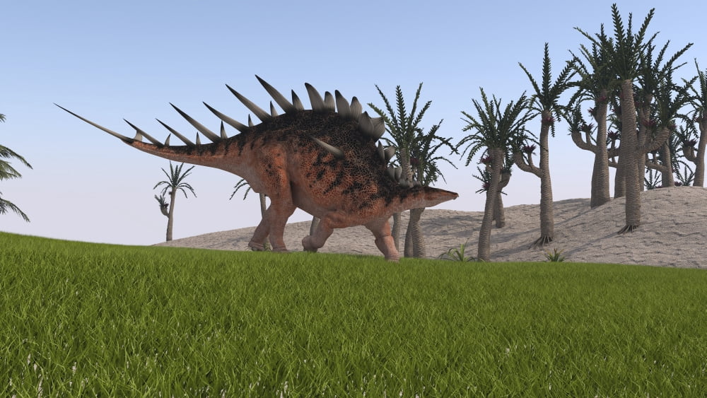 Kentrosaurus walking across a grassy field Canvas Art - Kostyantyn IvanyshenStocktrek Images (38 x 22)