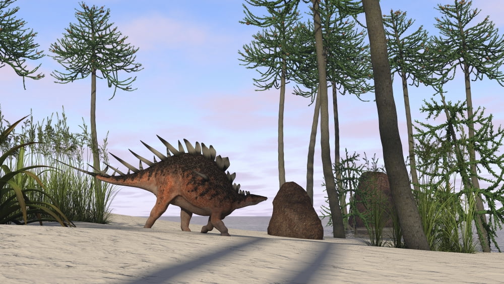 Kentrosaurus walking across a prehistoric landscape Canvas Art - Kostyantyn IvanyshenStocktrek Images (19 x 11)