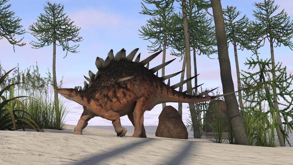 Kentrosaurus walking across a prehistoric landscape Canvas Art - Kostyantyn IvanyshenStocktrek Images (19 x 11)