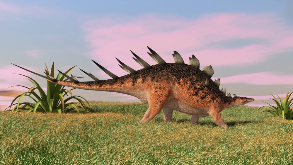 Kentrosaurus walking across prehistoric grasslands Canvas Art - Kostyantyn IvanyshenStocktrek Images (19 x 11)