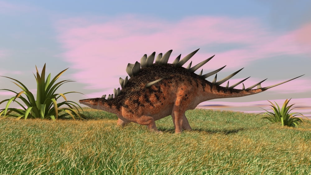 Kentrosaurus walking across prehistoric grasslands Canvas Art - Kostyantyn IvanyshenStocktrek Images (19 x 11)