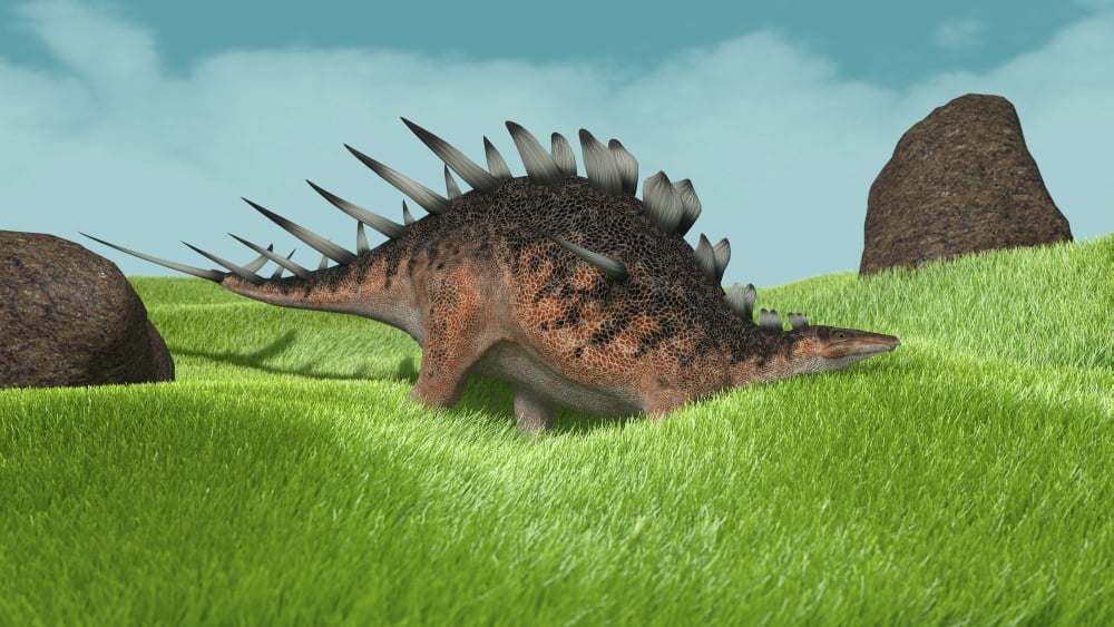 Kentrosaurus walking across prehistoric grasslands Canvas Art - Kostyantyn IvanyshenStocktrek Images (19 x 11)