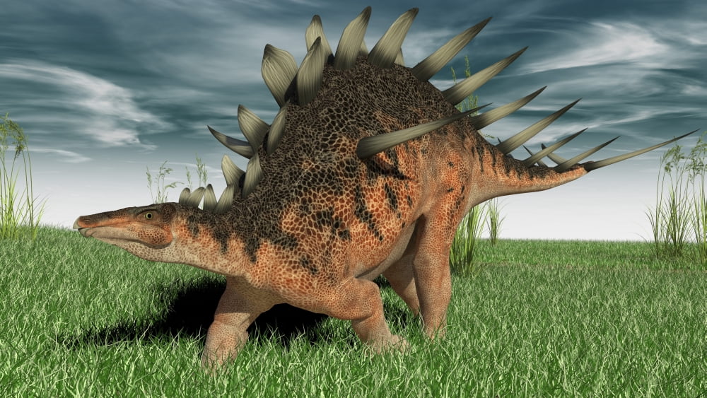 Kentrosaurus walking across prehistoric grasslands Canvas Art - Kostyantyn IvanyshenStocktrek Images (19 x 11)