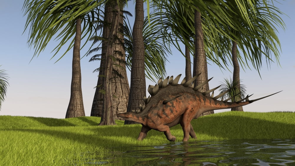 Kentrosaurus walking along a nearby swamp Canvas Art - Kostyantyn IvanyshenStocktrek Images (38 x 22)