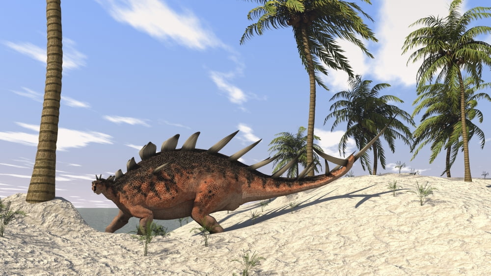 Kentrosaurus walking in a tropical environment Canvas Art - Kostyantyn IvanyshenStocktrek Images (19 x 11)