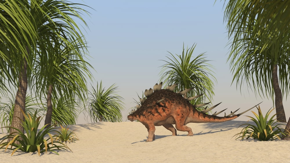 Kentrosaurus walking in a tropical environment Canvas Art - Kostyantyn IvanyshenStocktrek Images (19 x 11)