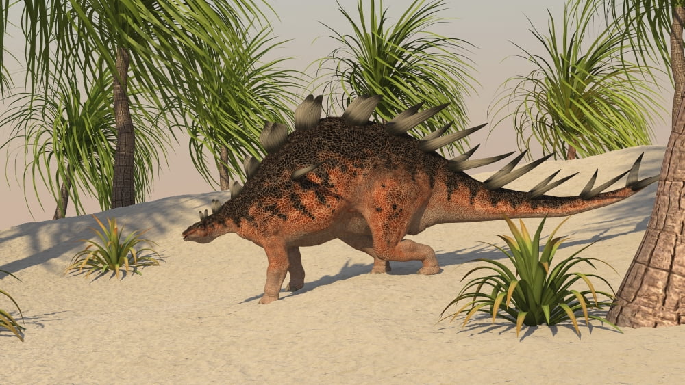 Kentrosaurus walking in a tropical environment Canvas Art - Kostyantyn IvanyshenStocktrek Images (38 x 22)
