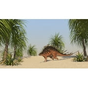 Kentrosaurus walking in a tropical environment Poster Print (18 x 10)