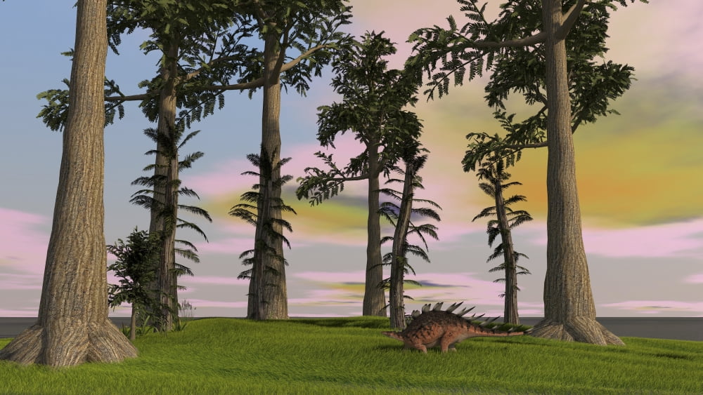 Kentrosaurus walking through a grassy field Canvas Art - Kostyantyn IvanyshenStocktrek Images (38 x 22)