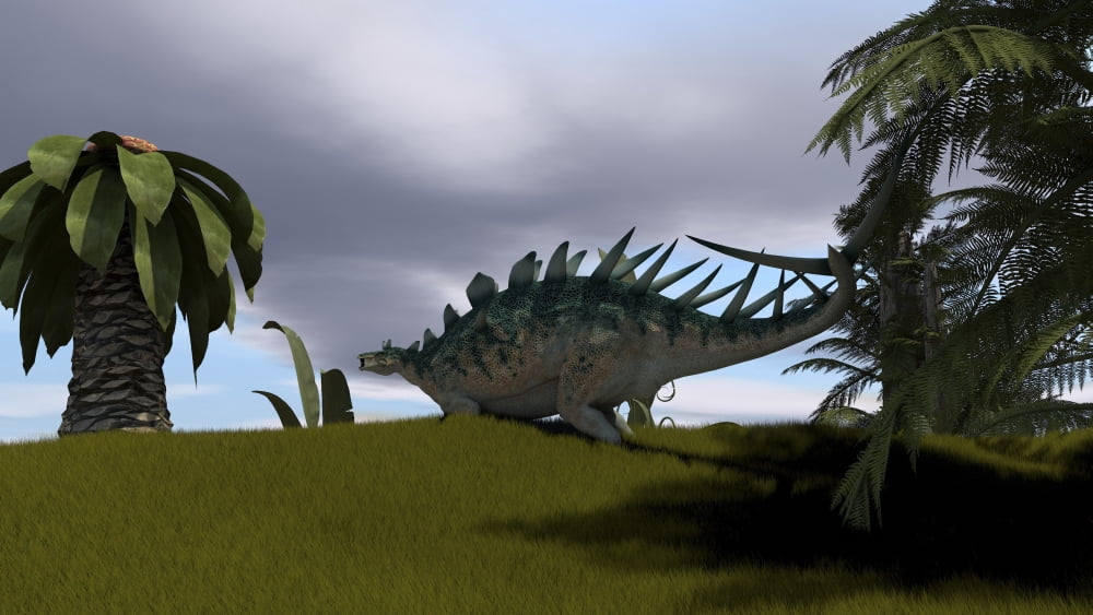 Kentrosaurus walking through an open field Canvas Art - Kostyantyn IvanyshenStocktrek Images (38 x 22)