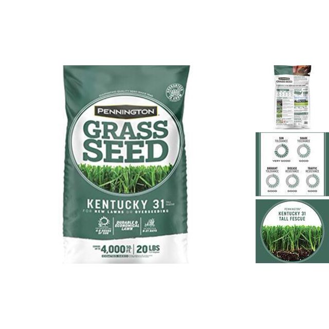 Kentucky 31 Tall Fescue 20 lb Grass Seed