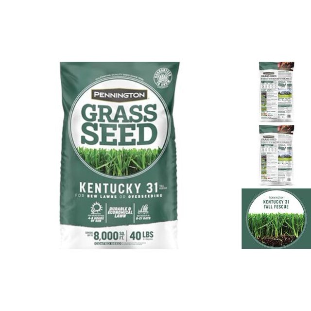 Kentucky 31 Tall Fescue Penkoted Grass Seed 40 lbs
