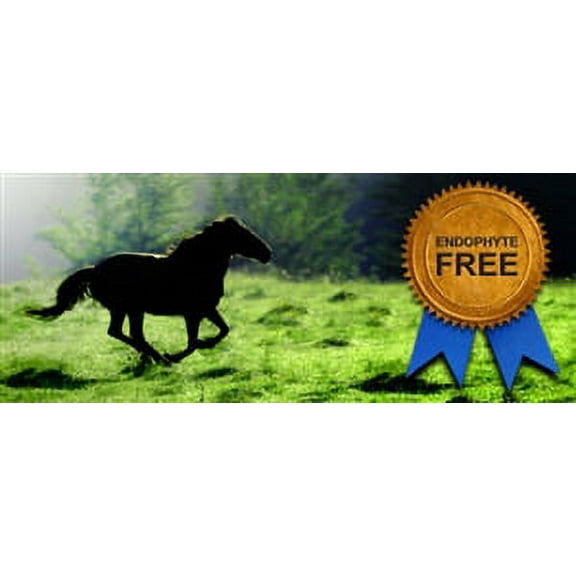 Kentucky 32 Tall Fescue Grass Seed - 20 Lbs.