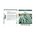 thumbnail image 1 of Kentucky Blue Pole Bean Seeds - 25 Gram Packet - Non-GMO, Heirloom - Green Bean Vegetable Garden Seeds - Phaseolus vulgaris, 1 of 2