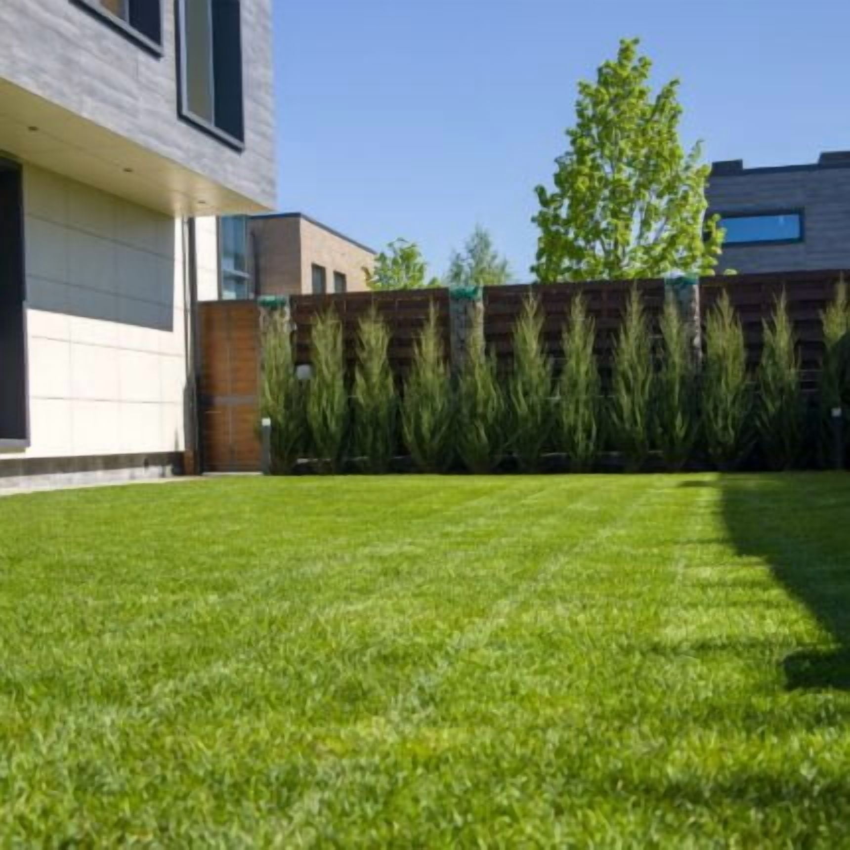 Kentucky Bluegrass Seed Mix - 10 lb - Covers 2,000 Sq Ft