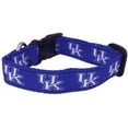 thumbnail image 1 of Kentucky Brand New Pet Dog Collar(Large), Official Wildcats Logo/Colors, 1 of 1