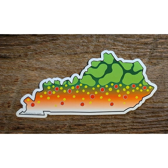 Kentucky Brook Trout Skin Sticker Decal