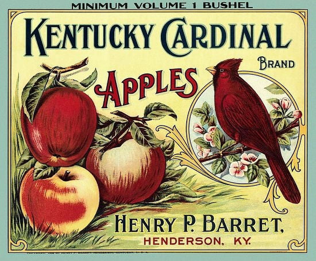 Kentucky Cardinal label Canvas Art - (24 x 36)