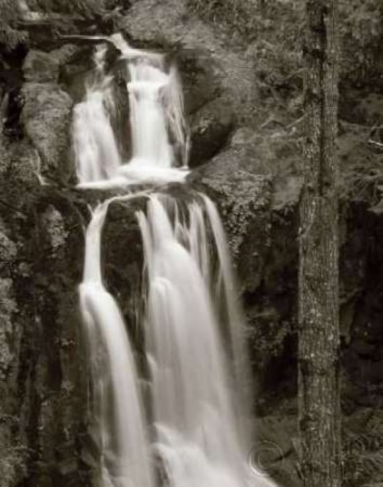 Kentucky Falls Canvas Art - Alan Majchrowicz (22 x 28)