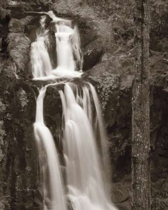 Kentucky Falls Canvas Art - Alan Majchrowicz (24 x 30)