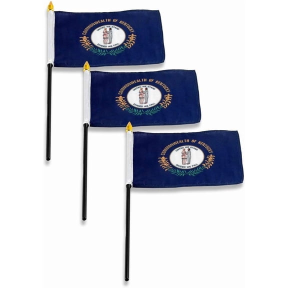 Kentucky Flag 4 x 6 inch (3 PK)