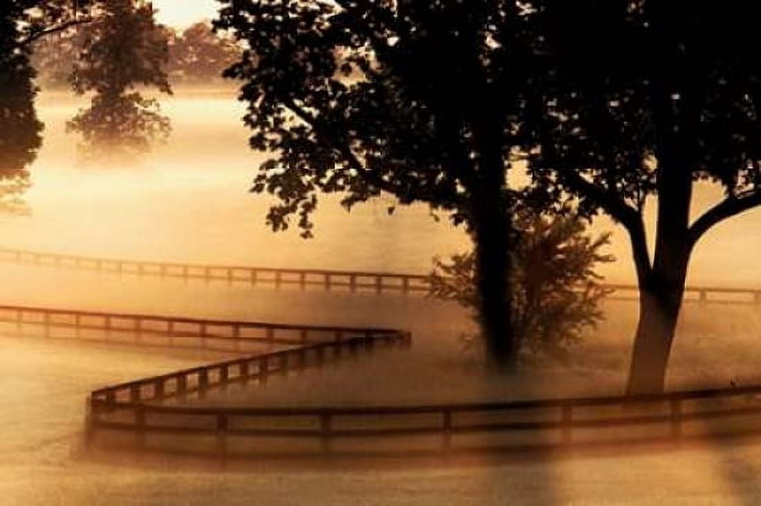 Kentucky Morning Canvas Art - Danita Delimont (24 x 36)
