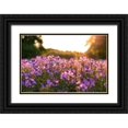 thumbnail image 1 of Kentucky Picture Archive 14x11 Black Ornate Wood Framed with Double Matting Museum Art Print Titled - Purple Flower Field Kentucky, 1 of 4