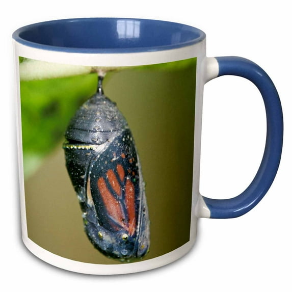 3drose, Kentucky, Pine Mountain. Monarch Butterfly - Us18 Aje0317 - Adam Jones, 11oz Two-tone Blue Mug