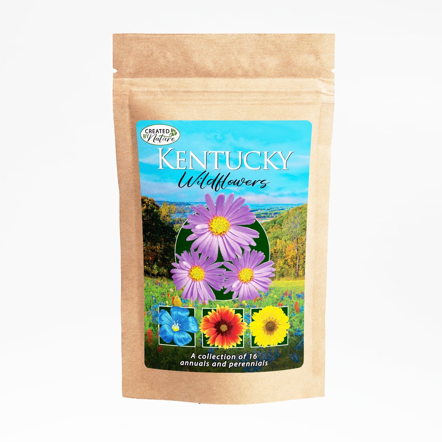 Created By Nature Kentucky Wildflower Seed Mix, 16 Flower Varieties, 40,000 Seeds
