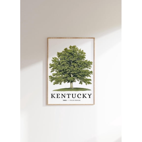 Kentucky Tulip Poplar Tree Poster: Minimalist Botanical Art, Unframed Poster Size 8x12