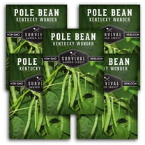 Rattlesnake Bean Seeds - Full Sun Annual Vegetable (5 Pack) - Walmart.com