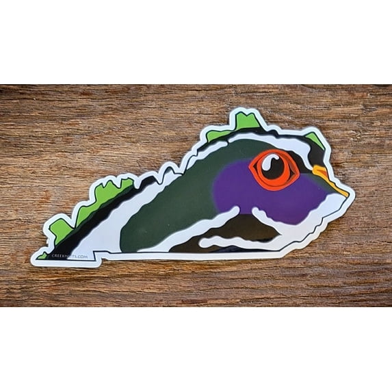 Kentucky Wood Duck Skin Sticker Decal