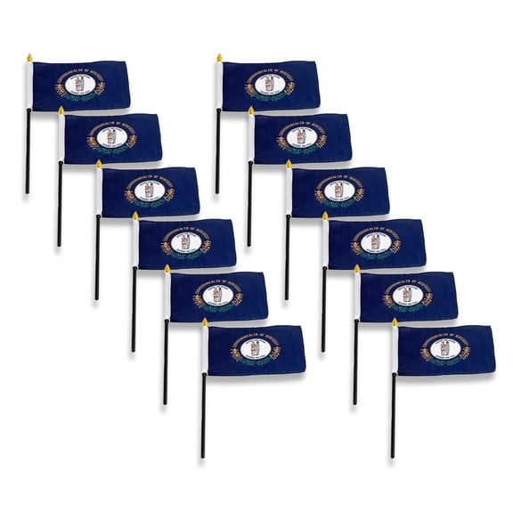 Kentucky flag 4 x 6 inch - 12 PK