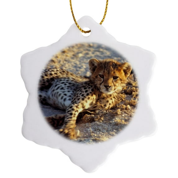 3drose, Kenya, Amboseli Np, Cheetah Cub -af21 Rer0002 - Ric Ergenbright, 3 inch Snowflake Porcelain Ornament