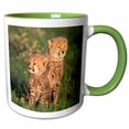 thumbnail image 1 of 3drose, Kenya, Masai Mara Game Reserve. Cheetah Cubs-af42 Gje0058 - Gavriel Jecan, 15oz Two-tone Green Mug, 1 of 6