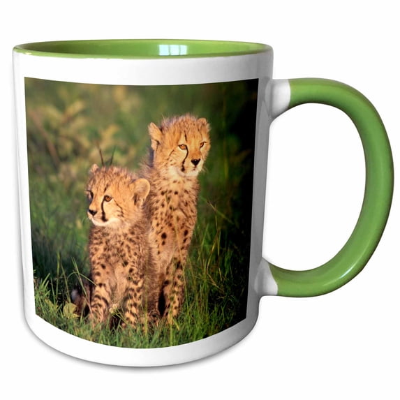 3drose, Kenya, Masai Mara Game Reserve. Cheetah Cubs-af42 Gje0058 - Gavriel Jecan, 15oz Two-tone Green Mug