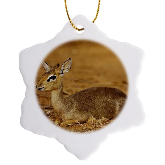 3drose, Kenya, Samburu, Guenthers Long-snouted Dik-dik Antelope-af21 Aje0389 - Adam Jones, 3 inch Snowflake Porcelain Ornament